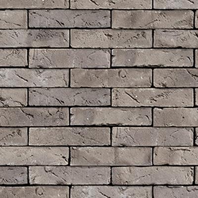 Lupus | Wasserstrich | WF