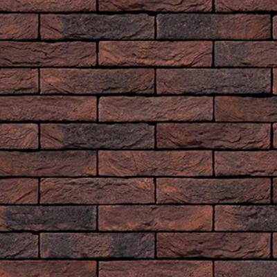 Salvia Gesinteld | Handvorm | WF