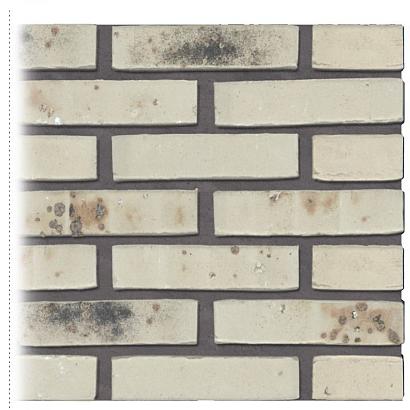 Gevelsteen | Vormbak Wasserstrich | Wit gesinterd | Waalformaat