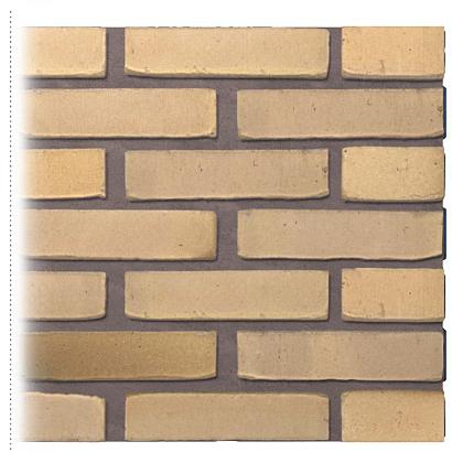 Gevelsteen | Vormbak Wasserstrich | Schie (Geel Bont Mangaan) | Waalformaat