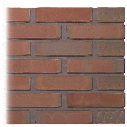 Gevelsteen | Vormbak Wasserstrich | Loet (Paarse Klinker Speciaal Bont) | Waalformaat