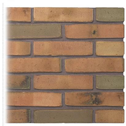 Gevelsteen | Vormbak Wasserstrich | Eems (Naturel Bont gesinterd) | Waalformaat