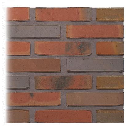 Gevelsteen | Vormbak Wasserstrich | Zaan (Rood Bont gesinterd) | Waalformaat