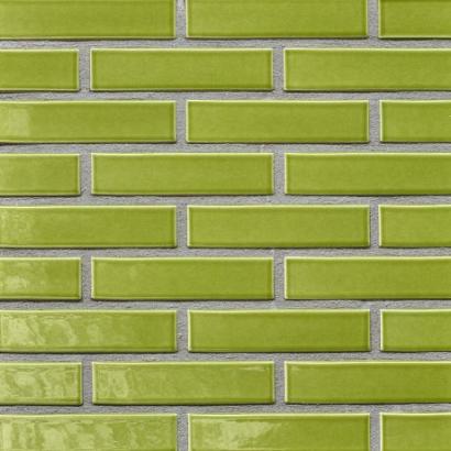 Pearl Malaysia | Waal Formaat Glazuur: 1x strek +1x kop | Strengpers | 210 x 100 x 50