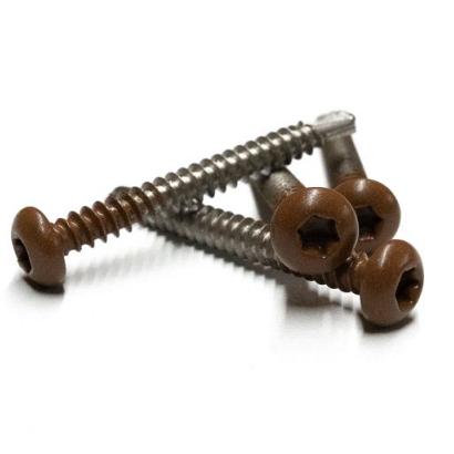 RVS schroef met gekleurde top voor NTW Castellation PRO, set a 50 stuks incl bit, Teak