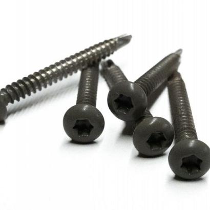 RVS schroef met gekleurde top voor NTW Castellation PRO, set a 50 stuks incl. bit, Silver gray.