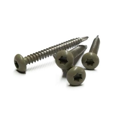 RVS schroef met gekleurde top voor NTW Castellation PRO, set a 50 stuks incl bit, Antique