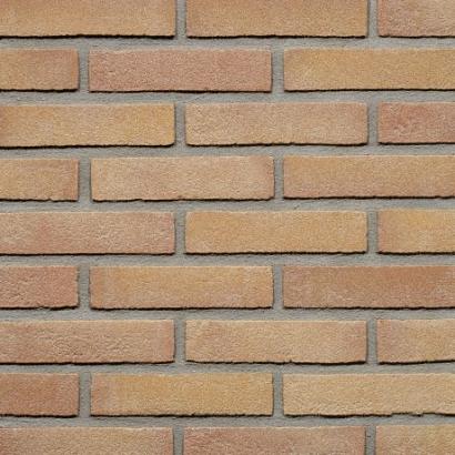 Beigerood | Waal Formaat | Vormbak | Steenstrips | 210 x 100 x 50