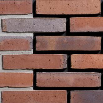 WF Tighel-Brik | Chiara