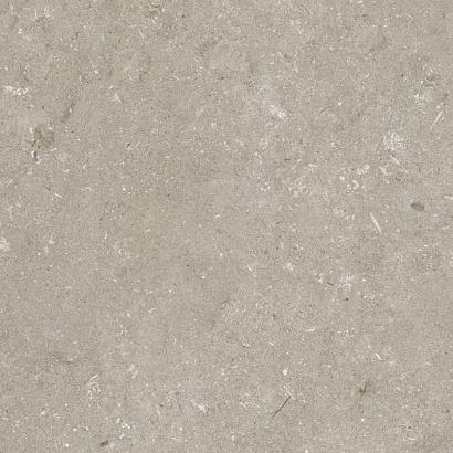 Shellstone Taupe 60x60x3 cm