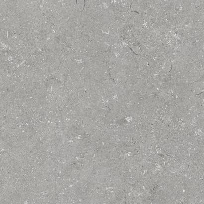 Shellstone Grigio 60x60x3 cm