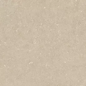 Douglas-Jones | Conchiglia | Arena | 60x120x2