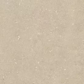 Douglas-Jones | Conchiglia | Arena | 60x120x2