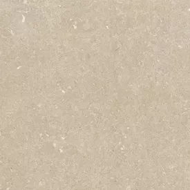 Douglas-Jones | Conchiglia | Arena | 60x120x2