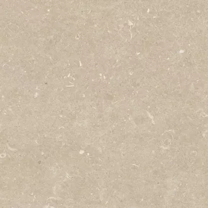 Douglas-Jones | Conchiglia | Arena | 120x120x2