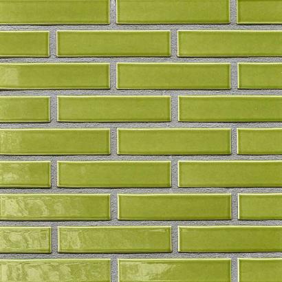 Pearl Malaysia | Waal Formaat Glazuur: 1x strek | Strengpers | 210 x 100 x 50