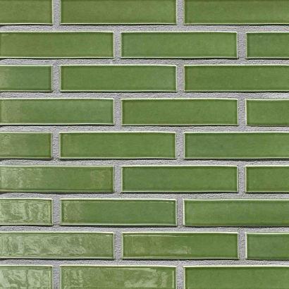 Pearl Tahiti | Waal Formaat Glazuur: 1x strek | Strengpers | 210 x 100 x 50