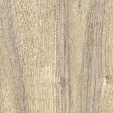 Keramische tegel | More | Miele | 40x120x2 cm