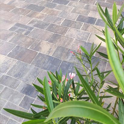 Straksteen 20x30x5 cm chelsea