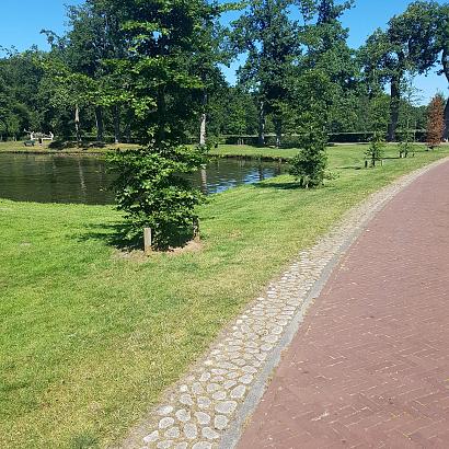 Keigrassteen WaterWijs 45x45x10 cm grijs