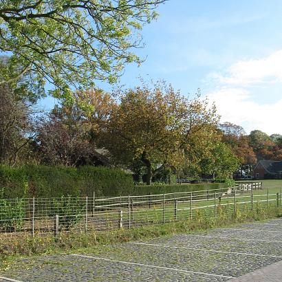 Keigrassteen WaterWijs 45x45x10 cm antraciet