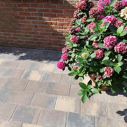 Straksteen 20x30x6 cm chelsea