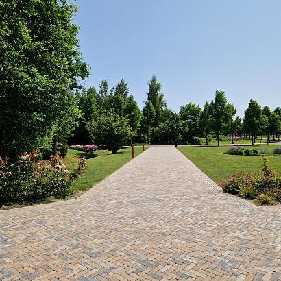 Stonique trommel dikformaat 6 cm musselkalk