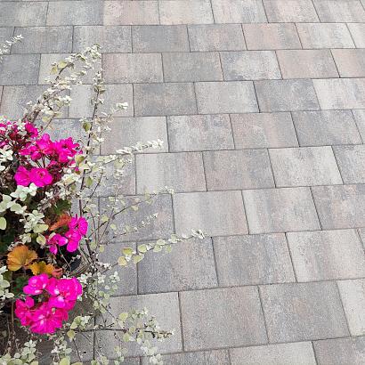 H2O comfort square 20x30x6 cm tricolore