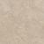 Roma Beige 60x60x2