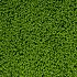 Playgrass Olive Green / Field Green