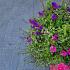 Dikformaat XL 28x7x8 cm antraciet (320 stuks per pak)