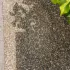 Eurogravel Plus Wit 120x100x3cm