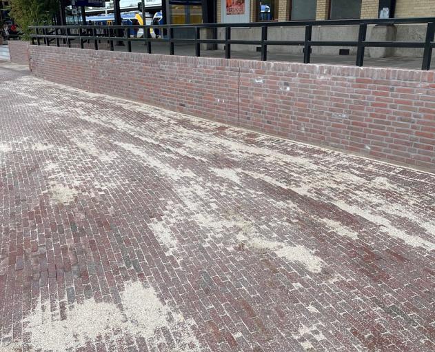 25c3ff9cd48c2b724729015f5c981171